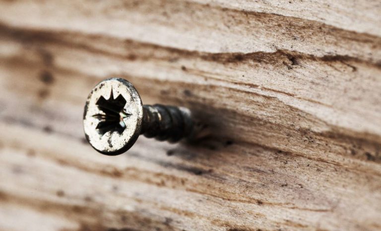 wood screw